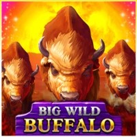 game logo by Belatra Games on jokicasinos-fi.com